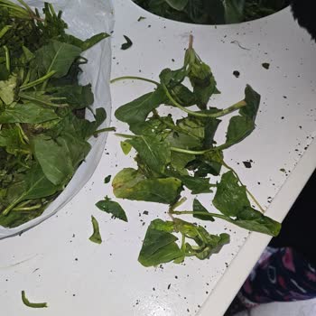 Trendyol Üzerinden Aldığım Bozuk Sebze Ve Meyve Ürünleri İçin İade Talebim Reddedildi