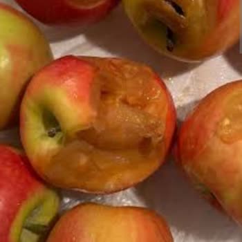 Trendyol Üzerinden Aldığım Bozuk Sebze Ve Meyve Ürünleri İçin İade Talebim Reddedildi