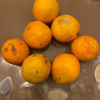 Trendyol Üzerinden Aldığım Bozuk Sebze Ve Meyve Ürünleri İçin İade Talebim Reddedildi