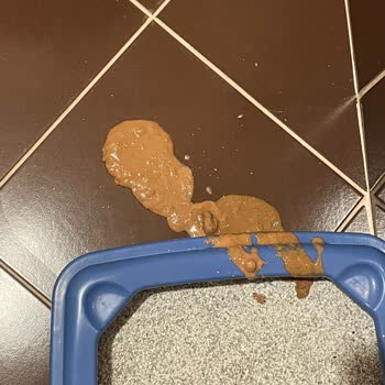 Hepsiburada'dan Sahte Kedi Maması Aldım, Kedim Hastalandı Ve Veteriner Masrafı Yükledi