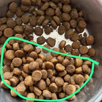 Hepsiburada'dan Sahte Kedi Maması Aldım, Kedim Hastalandı Ve Veteriner Masrafı Yükledi