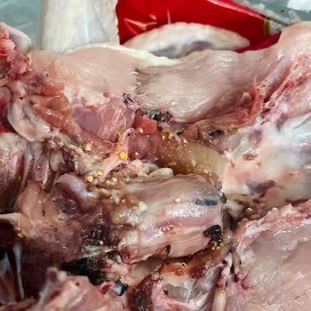 Lezita Tavukta Görülen Yem Kalıntıları Gıda Güvenliğini Tehdit Ediyor