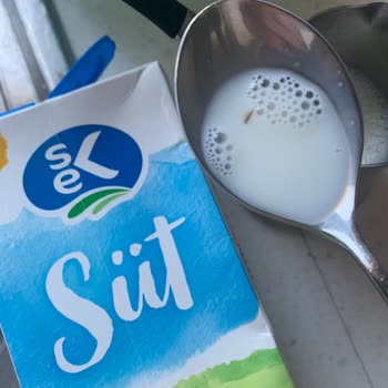 Sek Sütünde Böcek Bulunması: Hijyen Ve Sağlık Endişesi