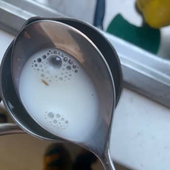 Sek Sütünde Böcek Bulunması: Hijyen Ve Sağlık Endişesi