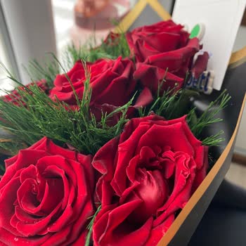 Solmuş Güller Ve Saygısız Teslimat