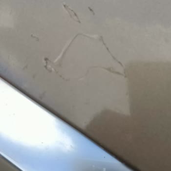 Volkswagen Kaput Kaplamasının Soyulması Ve Garanti Sürecindeki Oyalama