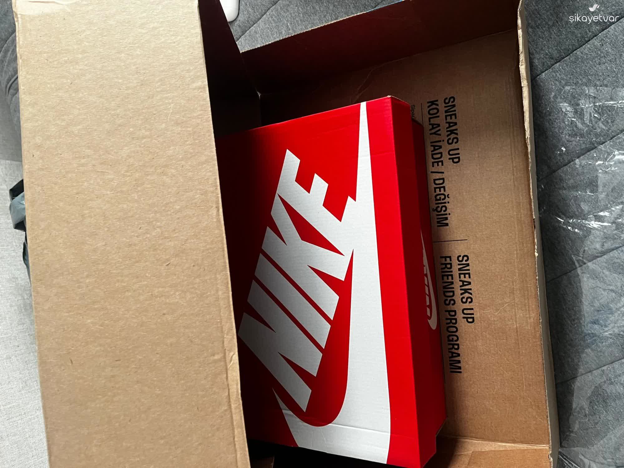 nike dunk low sneaks up