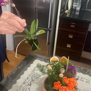 Görselden Farklı Ve Hasarlı Çiçek Teslim Edildi, Müşteri Hizmetleri Yardımcı Olmadı