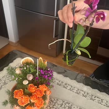 Görselden Farklı Ve Hasarlı Çiçek Teslim Edildi, Müşteri Hizmetleri Yardımcı Olmadı