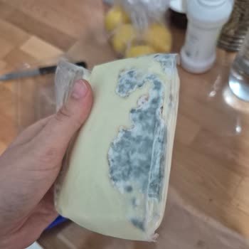 Altınkılıç Küflü Peynir Ürünü İade Talebi ve Markaya Güven Sorunu