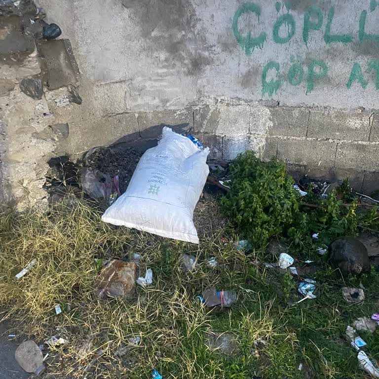 Bahçe Kapım Önünde Sürekli Çöp Atılması Ve Temizlik İhmaline Karşı Şikayet
