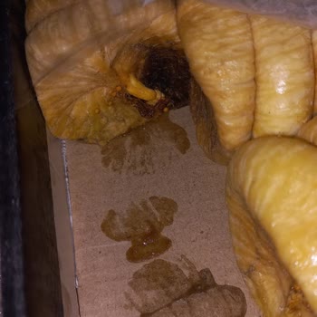 Karışık Ve Böcekli Dağ İnciri Gönderimi Sağlık Endişesi Yaratıyor