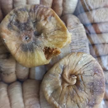 Karışık Ve Böcekli Dağ İnciri Gönderimi Sağlık Endişesi Yaratıyor