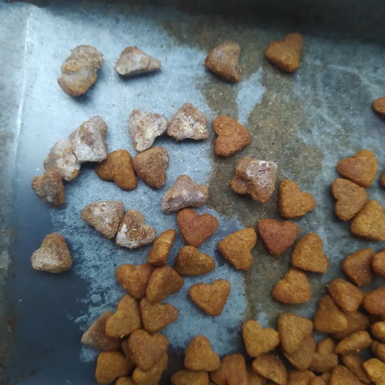 Küflü Kedi Maması Satışı Ve Hayvan Sağlığını Tehdit Ediyor