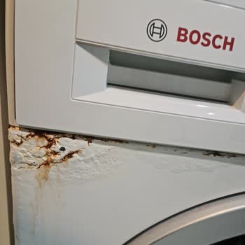 Bosch Çamaşır Makinesindeki Paslanma Sorunu Ve Ücretsiz Çözüm Talebi