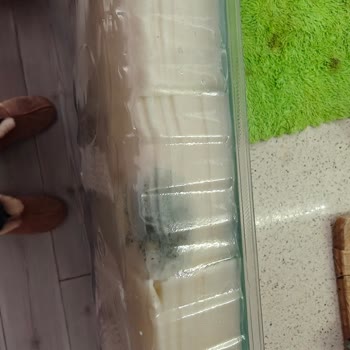 Küflü Kaşar Peynirine Yanıt Almayan Şok Müşteri Hizmetleri