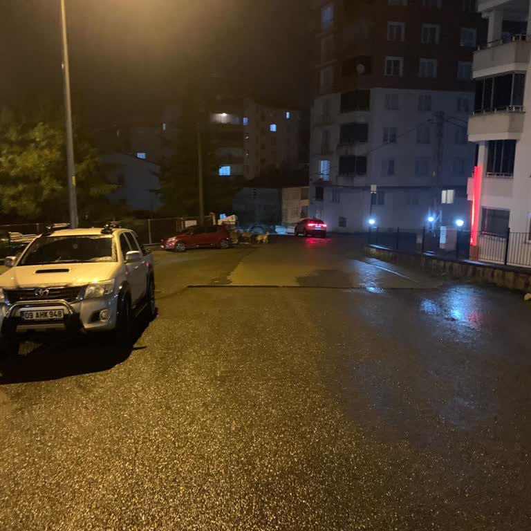 Espiye Mahallesinde Sokak Köpekleri Güvenlik Sorunu Ve Belediye İhmali