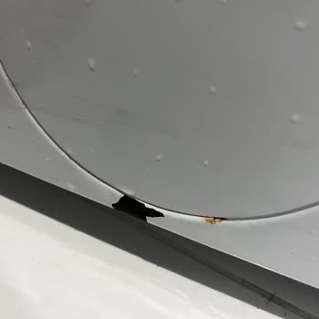 Profilo Çamaşır Makinesinde Küf Ve Kötü Koku Sorunu