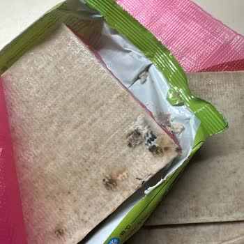 Teslimat Gecikti, Milföy Hamuru Küflü Çıktı