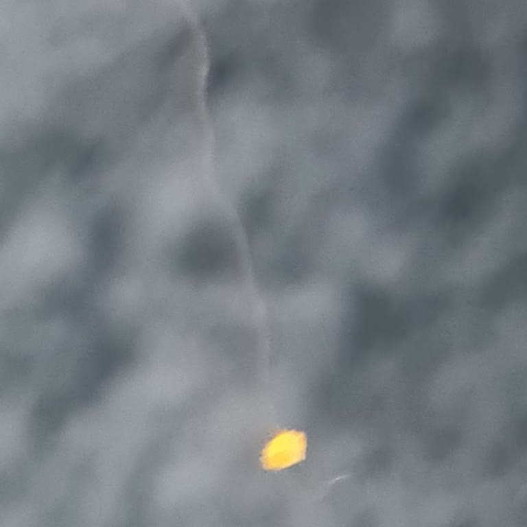 Eti Pizza Kraker’da Kıl Bulunması Ve Cevap Eksikliği