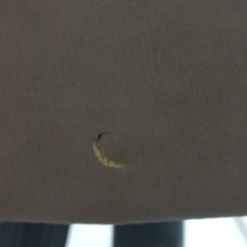 Campus Çalışma Koltuğunda Kırık Ve Çatlak Kutusuz Teslimat Nedeniyle Değişim Talebi