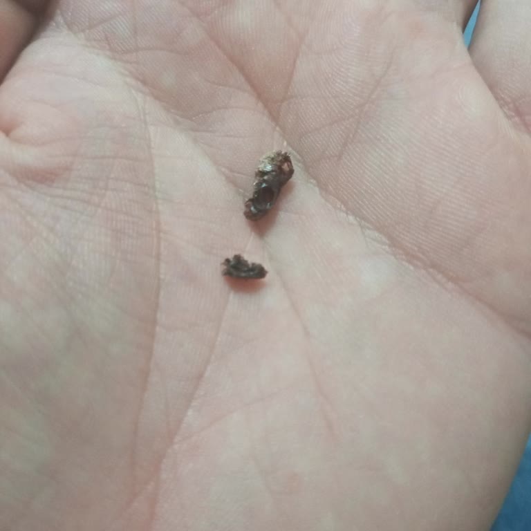 Şok Markette Eti Gofret Paketi İçinde Böcek Larvası Bulundu