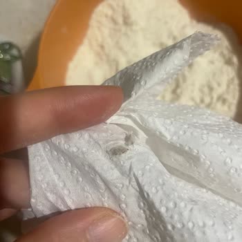 Böcekli Waffle Karışımında Gıda Güvenliği Endişesi