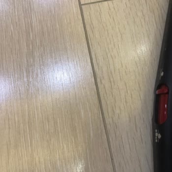 Dyson V16 Piston Animal Kablosuz Süpürge Zemin Çiziklerine Ve Deformasyonlara Neden Oldu