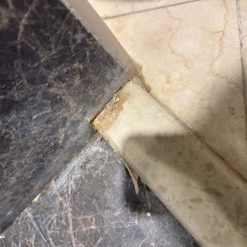 Diyanet Umre Otelinde Hijyen Ve Gürültü Sorunları