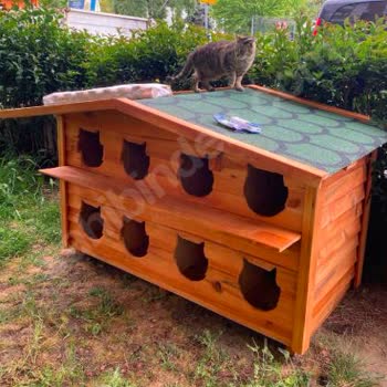 Huzurevleri Çevresinde Sokak Hayvanları İçin Kışlık Barınak Talebi