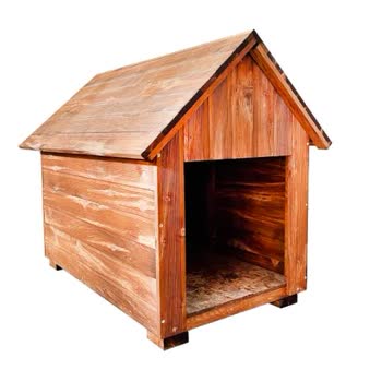 Huzurevleri Çevresinde Sokak Hayvanları İçin Kışlık Barınak Talebi