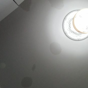 Mir Park'ta Altı Aylık Tavan Su Sızıntısı Ve Cevapsız Yetkililer