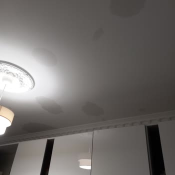 Mir Park'ta Altı Aylık Tavan Su Sızıntısı Ve Cevapsız Yetkililer