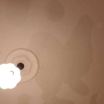 Mir Park'ta Altı Aylık Tavan Su Sızıntısı Ve Cevapsız Yetkililer