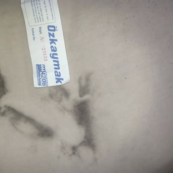 Islak Valiz Ve Kirli Kıyafetler İçin Tazmin Talebi