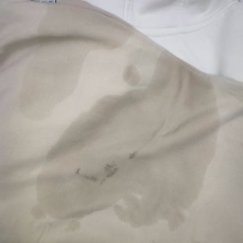 Islak Valiz Ve Kirli Kıyafetler İçin Tazmin Talebi