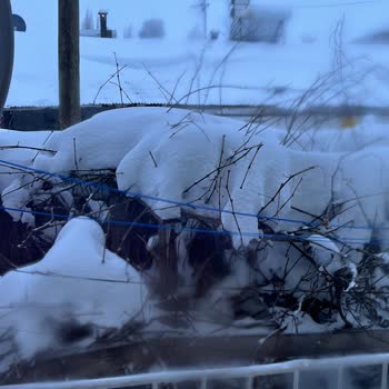 Yıldızeli Belediyesinin Yol Temizliği Ve Telefon Üslubundaki Sorunlar