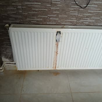 Eda Termal Kaplıcaları'nda Elektrik Kaçağı Ve Hijyen Sorunları Kabul Edilemez