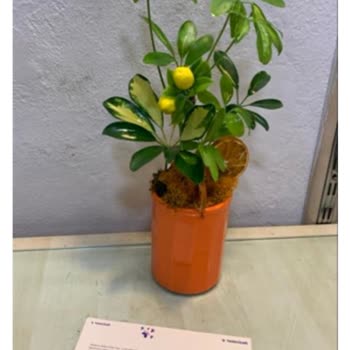 Yanlış Ürün Gönderildi, İptal İmkansız! Ücret İadesi Talebim