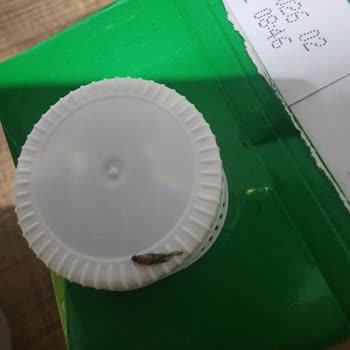 MIGROS’te Nesfit’in İçinde BÖCEK, HİJYEN Ve KALİTE SORUNU