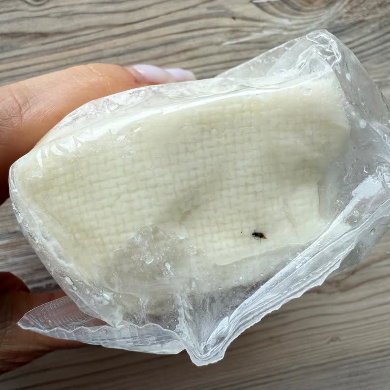 Mis Süt Peynirinde Böcek Bulunması Güveni Sarsıyor