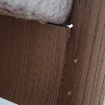 İzmir Aliağa Mondihome Şubesinde Düğün Paketi Sandalyeleri Kırık Ve Tamir Teklifi Reddi