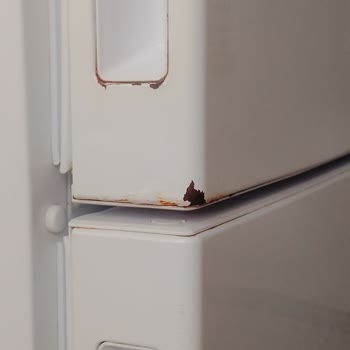 LG Buzdolabının Aniden Arızalanması Ve Mutfakta Sel Oluşması