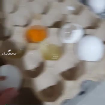 BİM Bili Bili Yumurta Şikayet!
