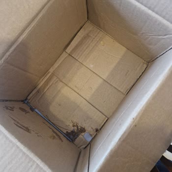 Kırık Parfüm Ve Akmış Şampuan İçin Cevapsız İade Talebi