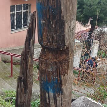 Karşıyaka’da Güvenlik Riski Oluşturan Eğik Elektrik Direği Ve Kablo Sorunu