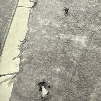 Atılım Halı Yıkama Halım Parçalanmış Halde!