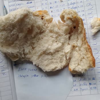 Şok Market Ekmeğinde Dışkıya Benzeyen Madde: Sağlık Riski Ve İade Talebi