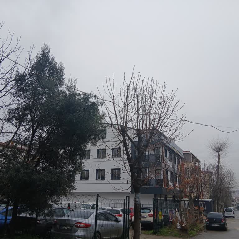 Fırtına Sonrası Sepaş Elektrik Kablomuzu Onarmıyor