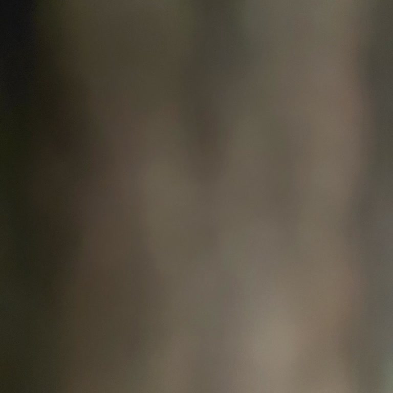 Fuzulev Ağrı Şubesinde Konut Teslimatı Evrak Gecikmesi Ve İlgisiz Yanıt